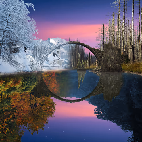 Reflection #493