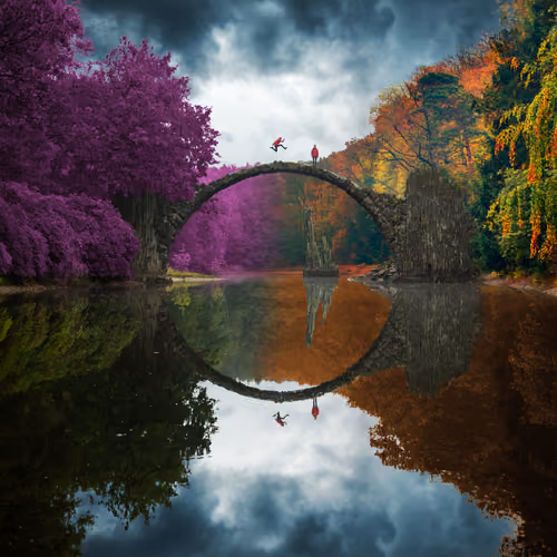 Reflection #658