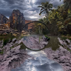 Reflection #325