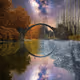 426