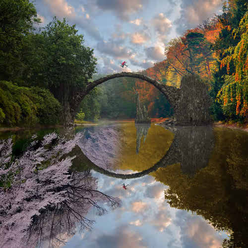 Dreamlab Reflections