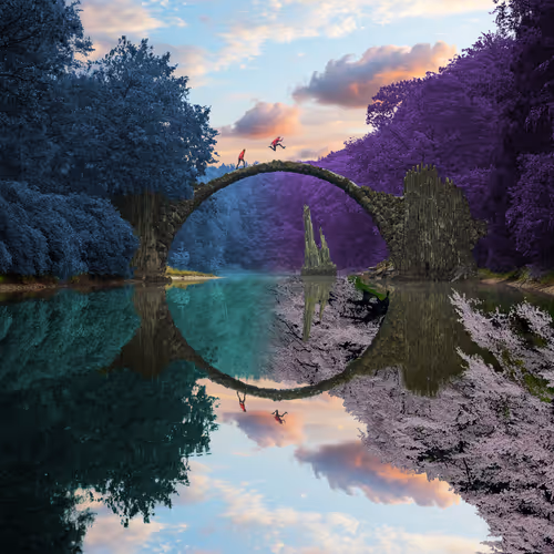 Reflection #1076