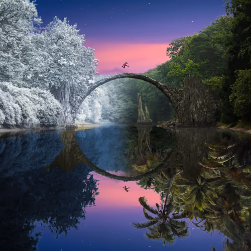 Reflection #578