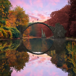 Reflection #998
