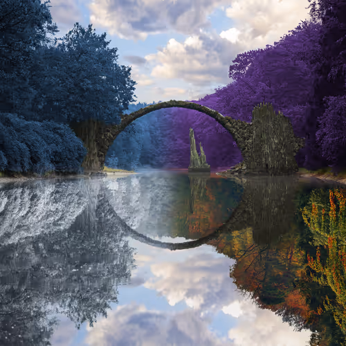 Reflection #723