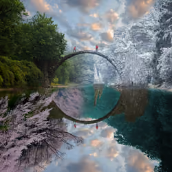 Reflection #323