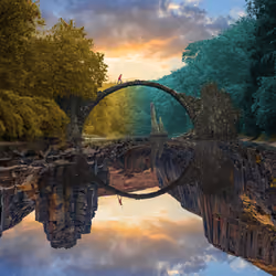 Reflection #648