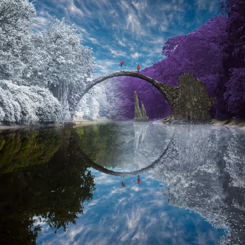 Dreamlab Reflections