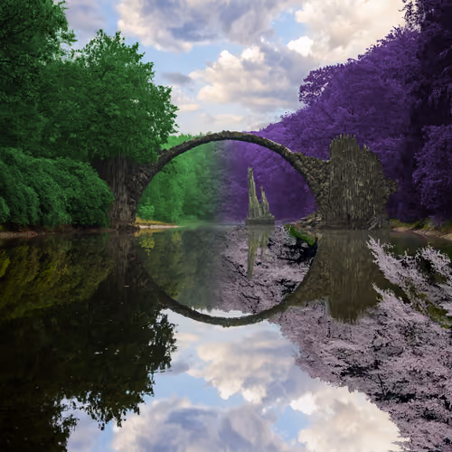 Reflection #314