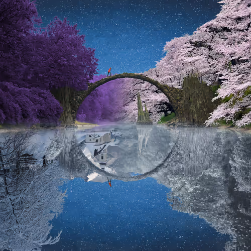 Dreamlab Reflections