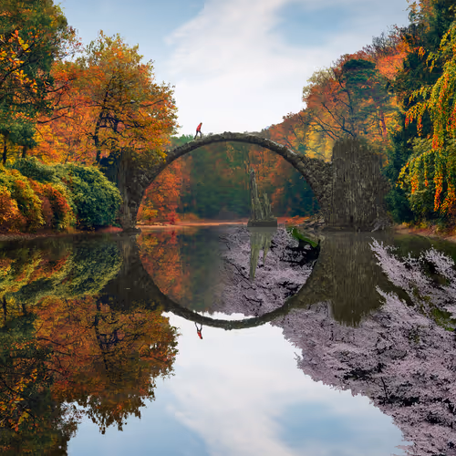 Reflection #539