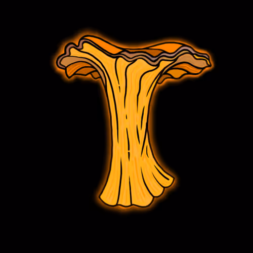 Shroomies 11