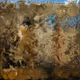 Digital Art Collective Painting #214