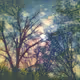 Painting #204