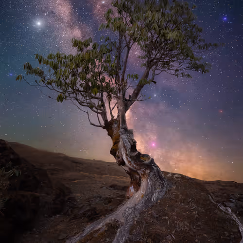 Celestial Tapestry