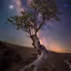 Celestial Tapestry