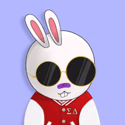 Rabbit College Club #8202