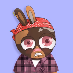 Rabbit College Club #6660