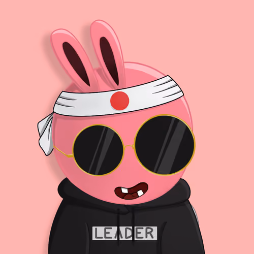 Rabbit College Club #4410