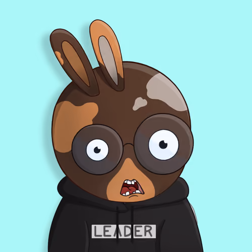 Rabbit College Club #2849