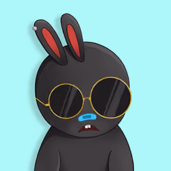 Rabbit College Club #5297