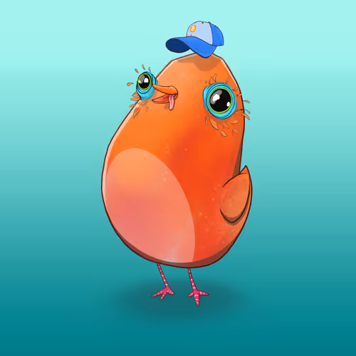 Derpy Birbs