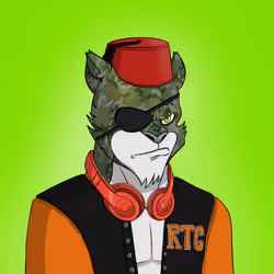 RebelTiger #1180