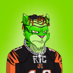 RebelTiger #647