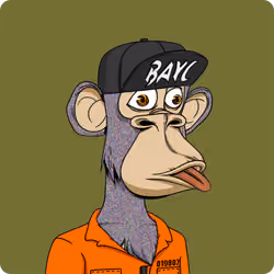 Bored Ape Yacht Club