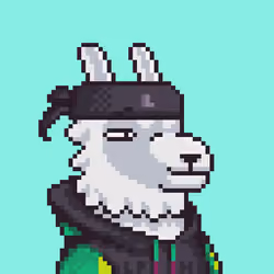 LlamaPix #1148