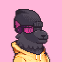LlamaPix #1260