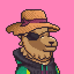 LlamaPix #456
