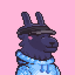 LlamaPix #2429