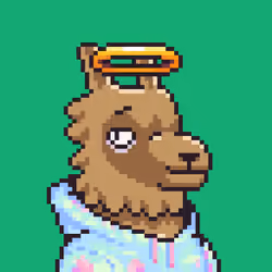 LlamaPix #2108