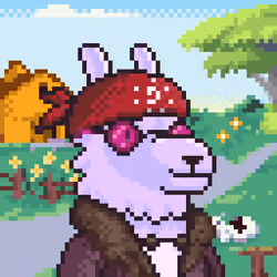 LlamaPix #2367