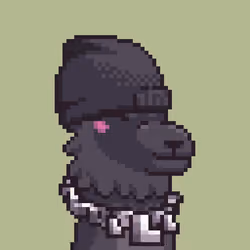 LlamaPix #500