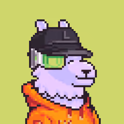 LlamaPix #1300