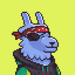 LlamaPix #879