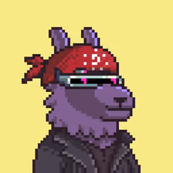 LlamaPix #1626