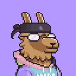 LlamaPix #1582