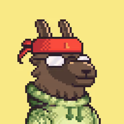 LlamaPix #2682