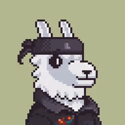 LlamaPix #3151