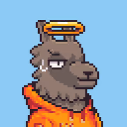 LlamaPix #44