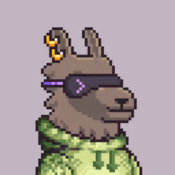 LlamaPix #1930