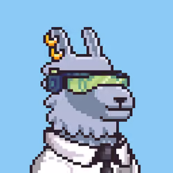 LlamaPix #40