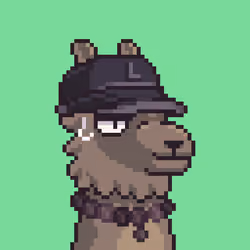 LlamaPix #1357