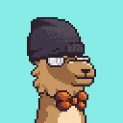 LlamaPix #1373