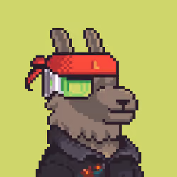 LlamaPix #1898