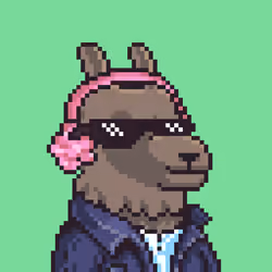 LlamaPix #265