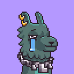 LlamaPix #2850